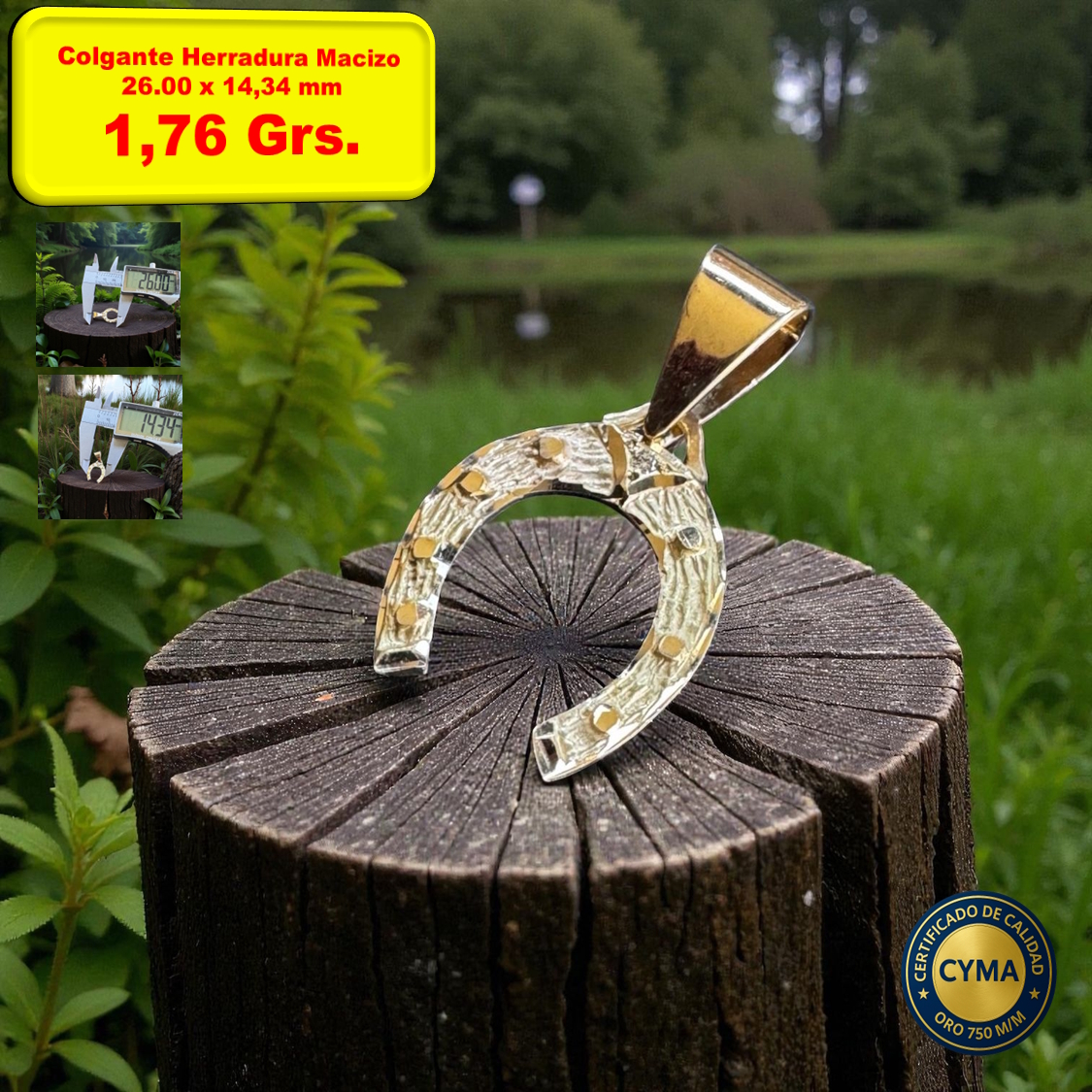 COLGANTE HERRADURA