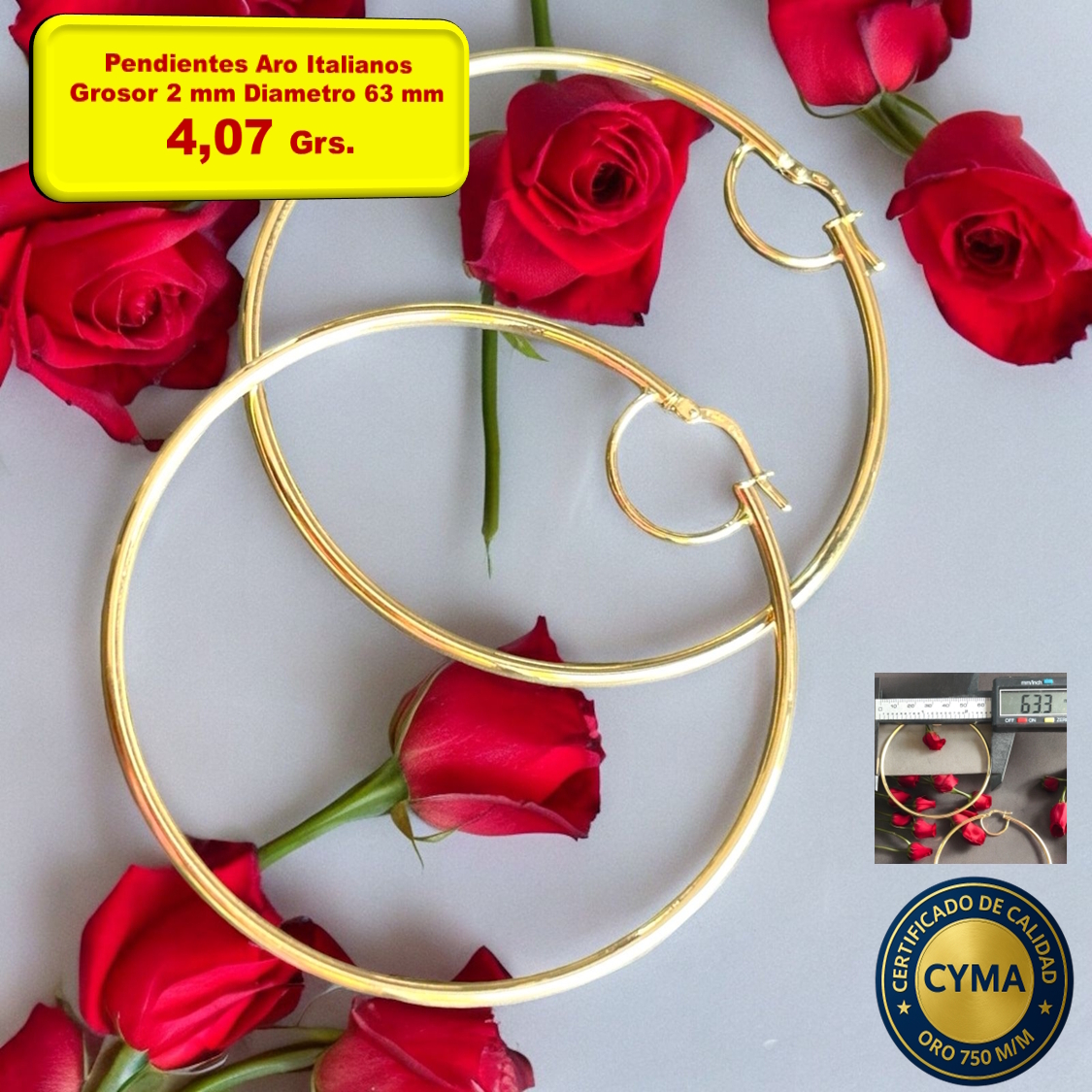 PENDIENTE ARO ITALIANO